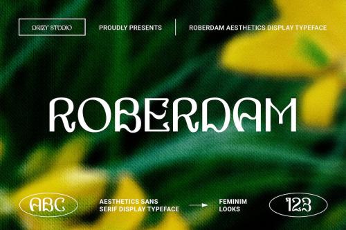 Roberdam - Sans Serif Aesthetic Font