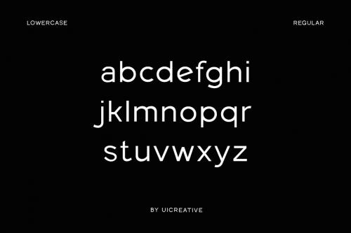 Fieldstones Modern Sans Serif Family Font