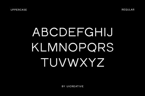 Fieldstones Modern Sans Serif Family Font