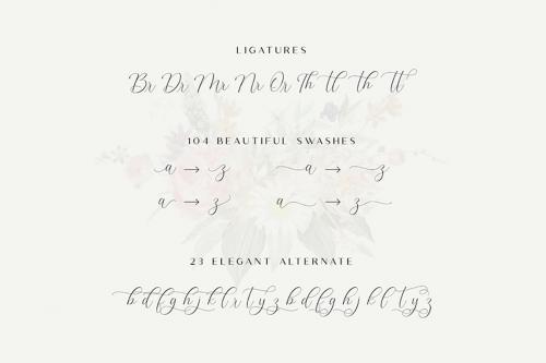 The Britney - Luxury Elegant Script