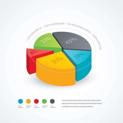 Pie Chart Presentation Infographic Layout - 238960578