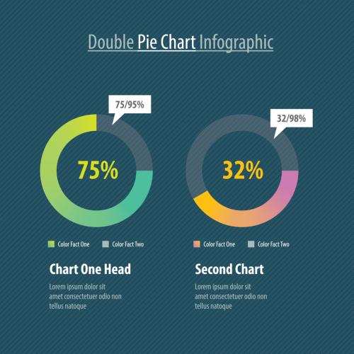 Double Pie Chart Infographic Layout - 238960612