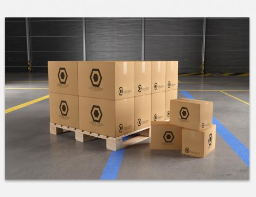 Cardboard Boxes in a Warehouse Mockup - 242687583