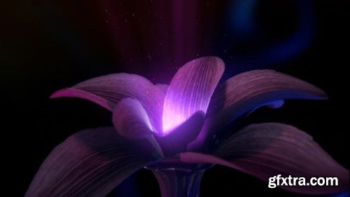 Videohive Mysticical Flower Logo 25276390