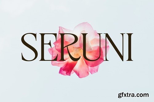 Modern Serif font 4S9XW2Y