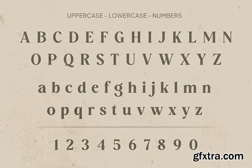 Classic Modern Font EFQ7SLE