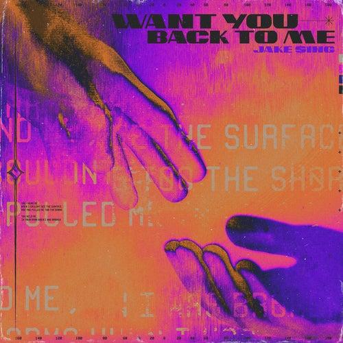 Epidemic Sound - Want You Back to Me - Wav - aX0PTr90I1