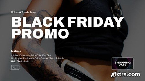 Videohive Black Friday Promo 48995932