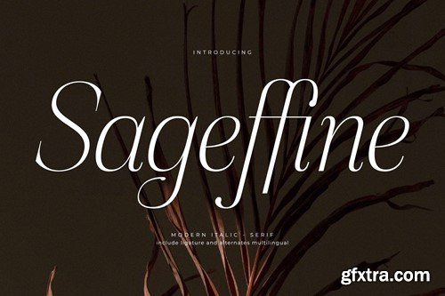 Sageffine Modern Italic Serif Font R47SFCH