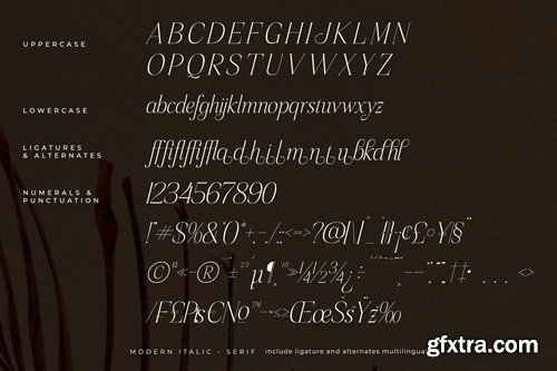 Sageffine Modern Italic Serif Font R47SFCH