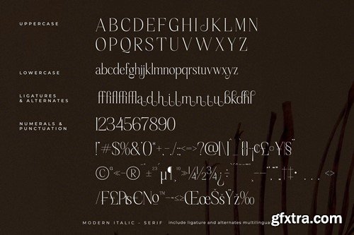 Sageffine Modern Italic Serif Font R47SFCH