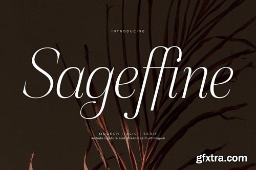 Sageffine Modern Italic Serif Font R47SFCH