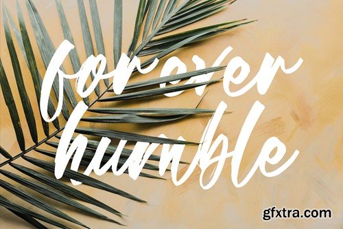 Rinebold Gutisky Handbrush Script Font KSZ997X