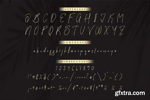 Horganite Ballpoint Signature Font KJSZD28