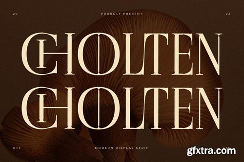 Cholten Modern Display Serif Font 9DLPLK8