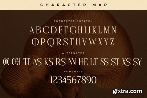 Cholten Modern Display Serif Font 9DLPLK8