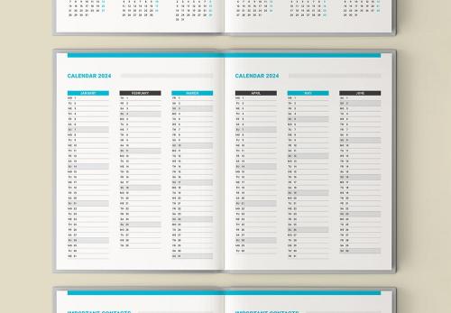 Daily Planner 2024. 380 Pages