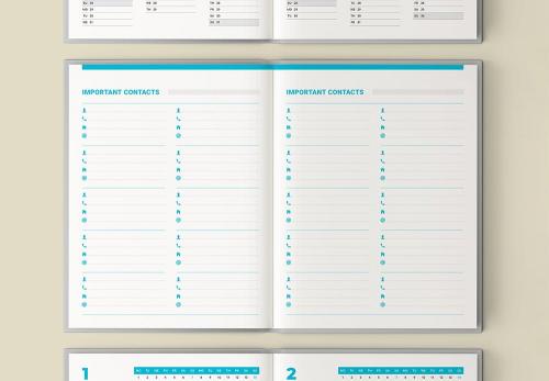 Daily Planner 2024. 380 Pages