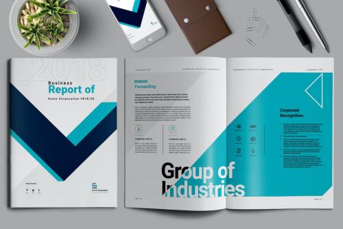 Report Brochure