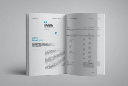 Report Brochure