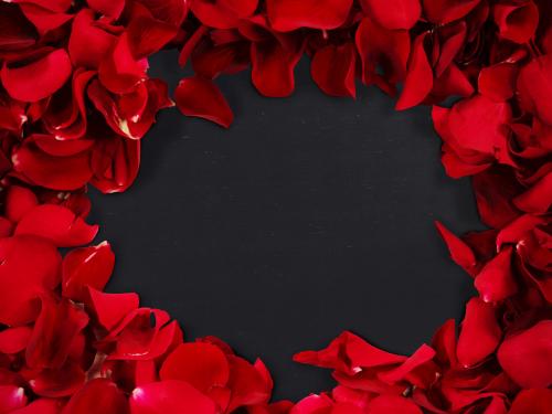 Blackboard with Red Rose Pedal Border Mockup - 246885251