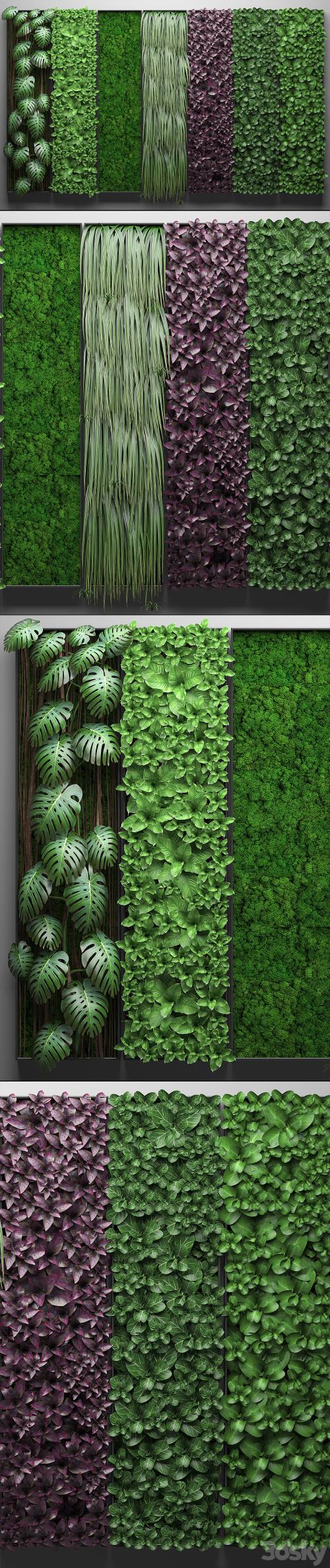 Vertical garden 21.Seven separate modules, phytowall, phytomodule, wall decor, landscaping