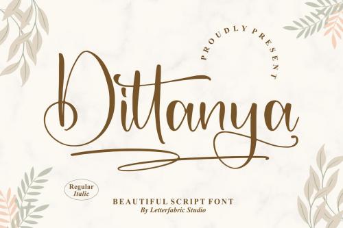 Dittanya Beautiful Script Font