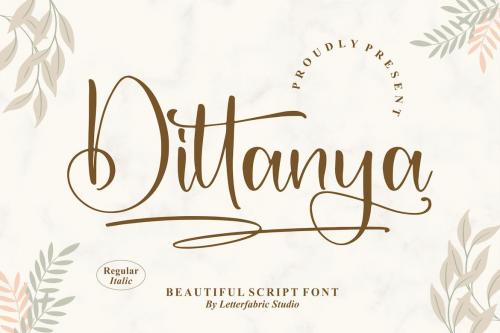 Dittanya Beautiful Script Font