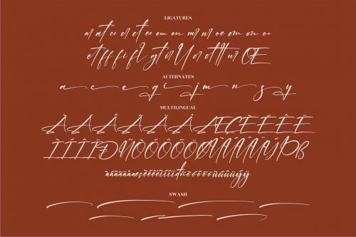 Dusty Peach Handwritten Signature Font