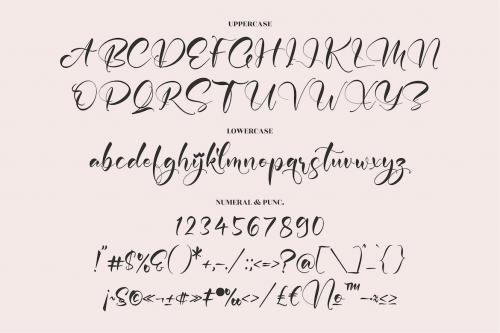 Delina Script Font