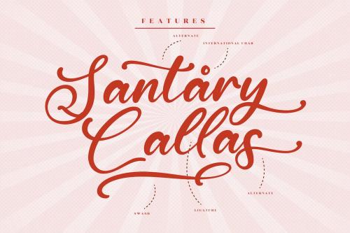 Santa Beast Modern Script Font