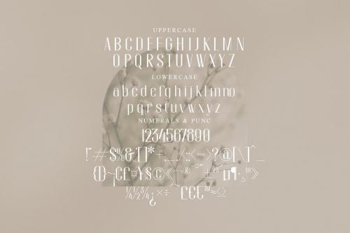 Queen Stylish Serif Font