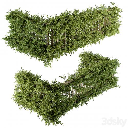 Outdoor Wood Fence with Ivy Plants - Fence 07