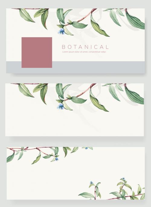 Social Media Banner Layouts with Botanical Illustrations - 250905419