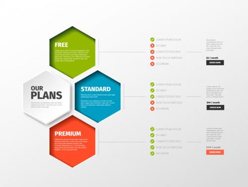 Product/Service Price Comparison Layout with Hexagon Elements  - 251671188