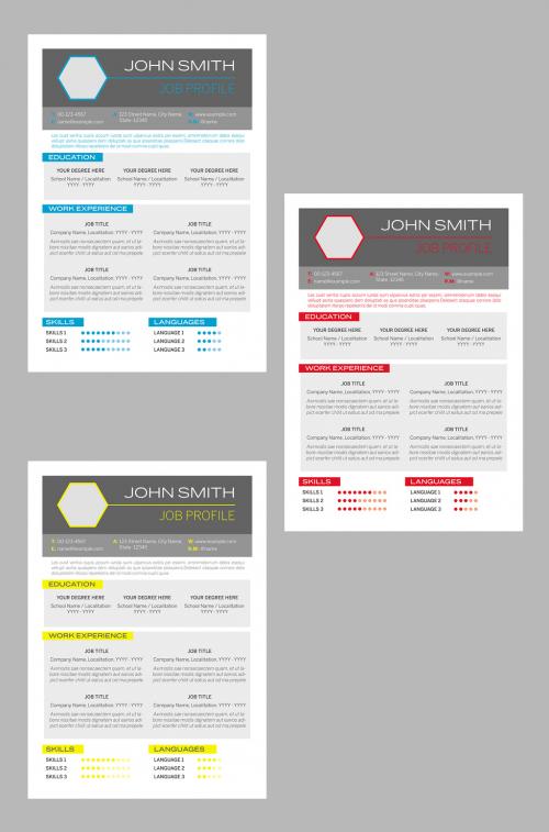 Resume Layout in Three Colors - 251901117