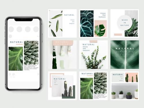 Social Media Post Layouts with Plant Images - 252336482