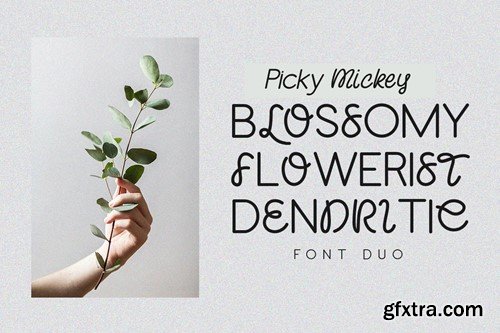 Picky Mickey - Font Duo YDNFSB4