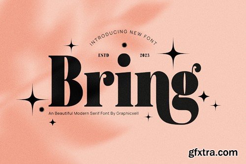 Bring Elegant Serif Font Typeface 82H7ZNC