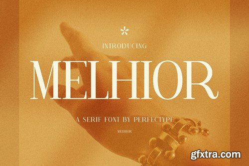 Melhior Modern Serif Font Typeface AK8WS23