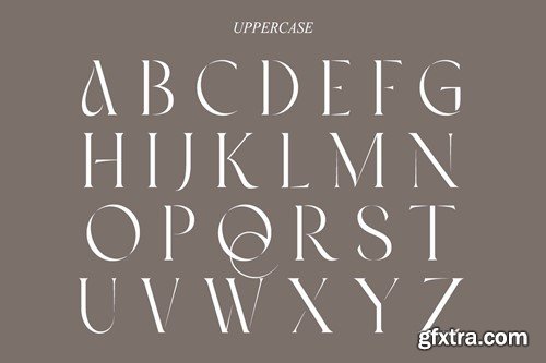 Ambrosia | Modern Serif SAUUH84