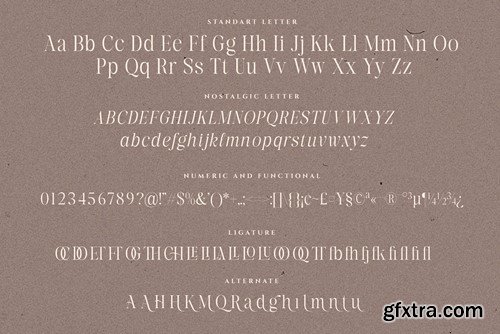 Clarisa Stories Nostalgic Serif Font 2V2FLLF