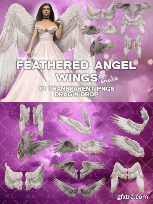 10 3D Angel Wings Photo Overlay PNGs