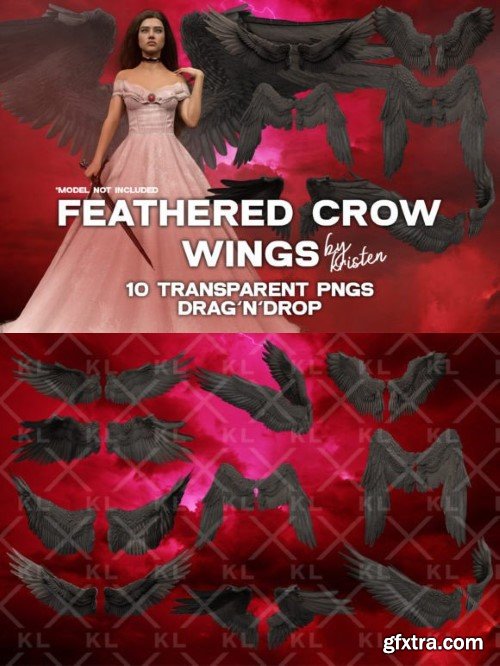 10 3D Crow Wings Photo Overlay PNGs