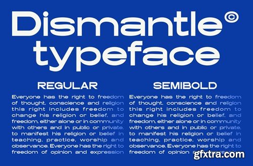 Dismantle - A Modern Sans Serif Font F5NK9YL