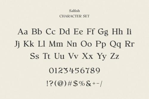 Salfish - Nostalgic Serif Font