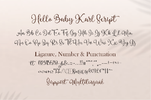 Hello Baby Karl Font Duo