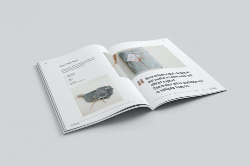 Portfolio Brochure