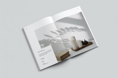 Portfolio Brochure