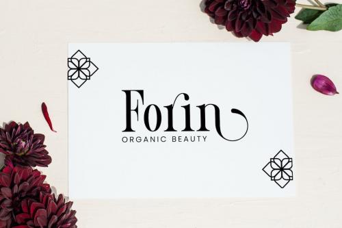 Foller Serif Font